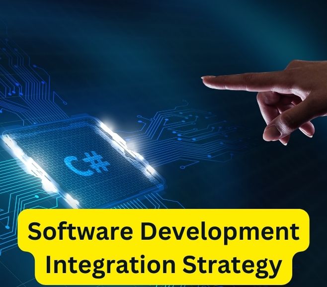 software development integration strategy